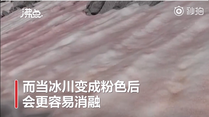 阿爾卑斯山驚現(xiàn)粉色冰川 alps1.png