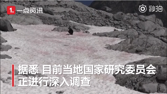 阿爾卑斯山驚現(xiàn)粉色冰川2 alps2.png